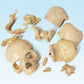 Evotech Mini Human Skull Model, Didactic 15 Parts Palm-Sized Anatomy Skull Model, Exploded Skull, Medical Anatomy Physiology Tea