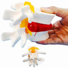 Veipho Human Anatomical Lumbar Disc Herniation Model, Movable Human Lumbar Disc Herniation Model, 1.5 Times Life Size Lumbar Dis
