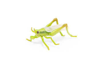 Papo -Hand-Painted - Figurine -Wild Animal Kingdom - Grasshopper -50268 -Collectible - For Children - Suitable For Boys And Girls- From 3 Years Old