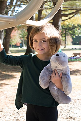 Mary Meyer Flip Flops, Sammy Seal, 12