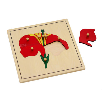 Elite Montessori Flower Puzzle