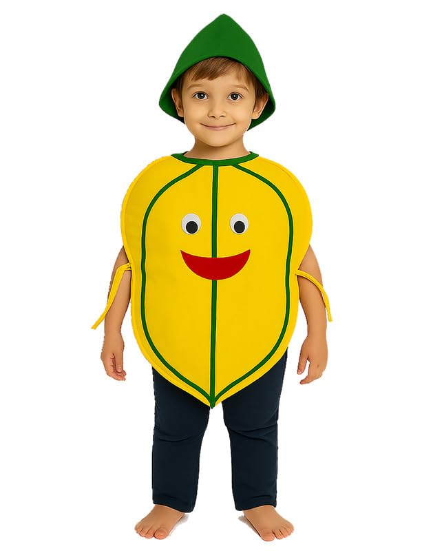 Fancydresswale Pumpkin Fancy Dress Costume For Kids | Free Size 2-10 Years | School Programs, Fancy Dress Competitions, Theme Pa