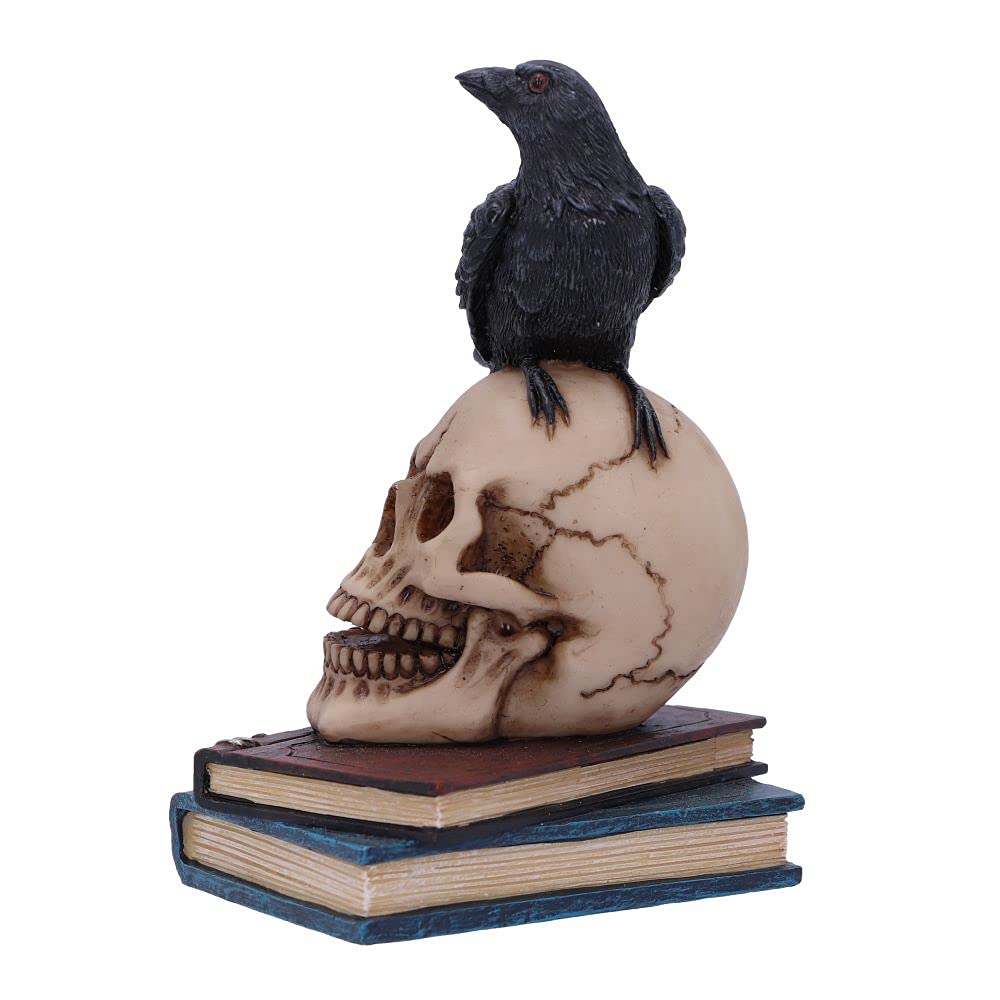 Nemesis Now Raven's Spell 10.3cm  Black U5744U1