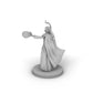 Female Elf Druid 2 Tabletop Dnd Gaming Miniature