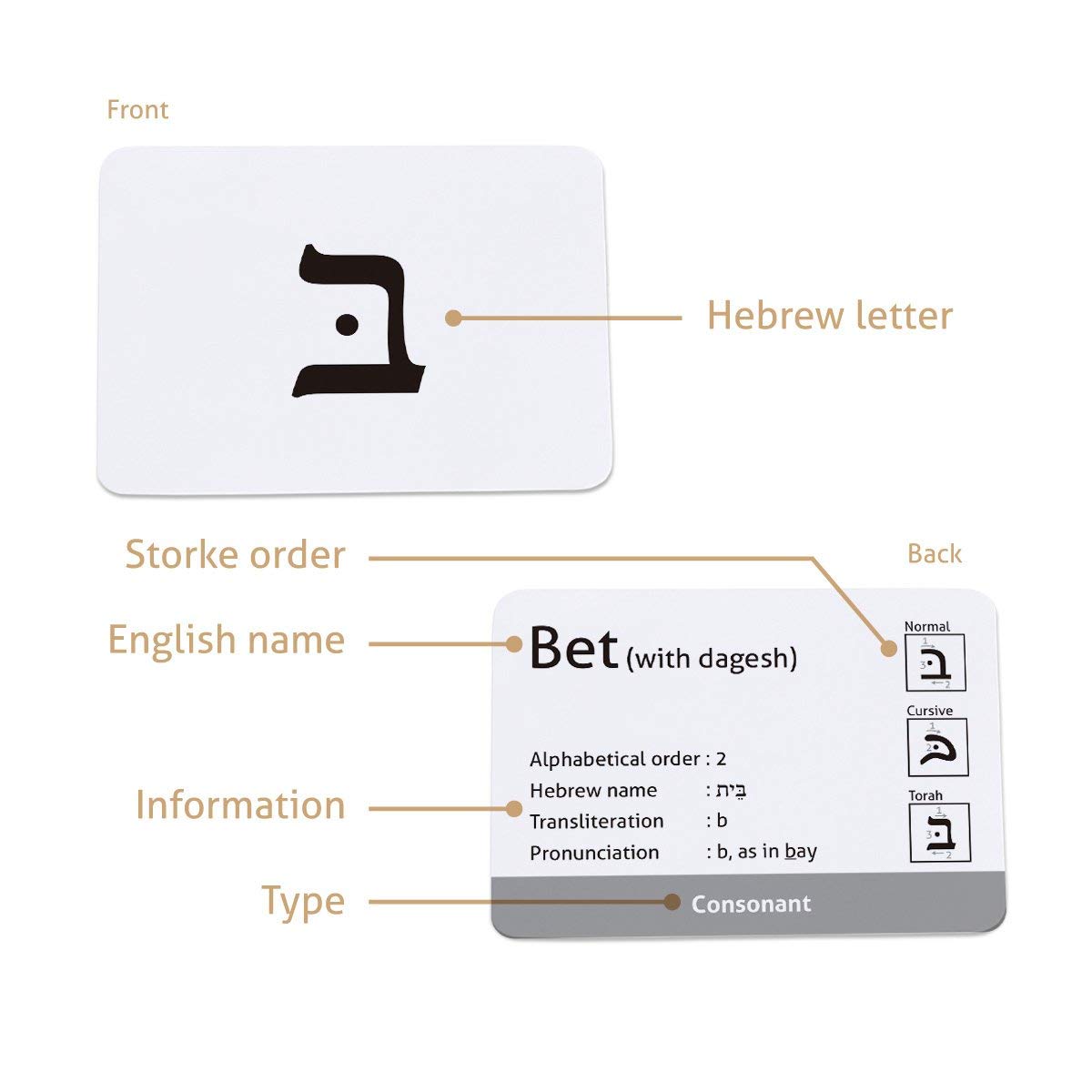 Carddia | Biblical Hebrew Alphabet Educational Flashcards | Includes Consonants, Vowels, Dagesh, And Final Forms