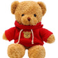 Chelei2019 11.8' Teddy Bear Stuffed Animal Cute Teddy Bear With Hoodie Plush Toy For Kids,Pink