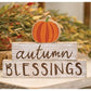 Set Of 3 Autumn Blessings W/ Pumpkin Wood Stackers Shelf Sitters Fall Autumn Decoration Distressed Wood Country Farmhouse Rustic