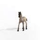 Schleich Horse Club Horses 2022, Realistic Horse Toys For Girls And Boys, Criollo Definitivo Foal Baby Horse Figurine, Ages 5+