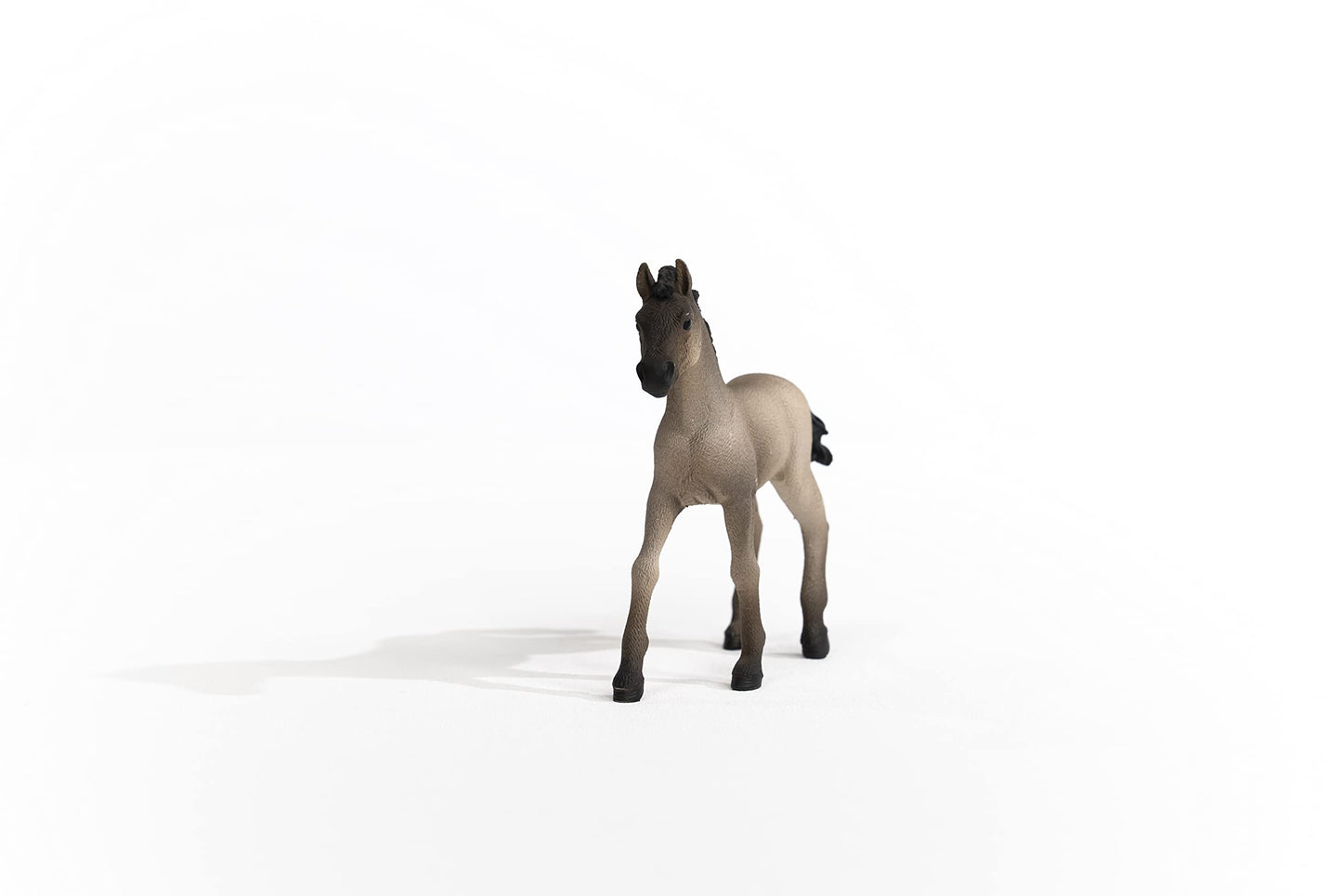 Schleich Horse Club Horses 2022, Realistic Horse Toys For Girls And Boys, Criollo Definitivo Foal Baby Horse Figurine, Ages 5+