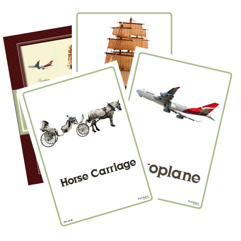 Raldins  Laminated Cards  Water Resistant  1+ Year Kids (Transports, Small)