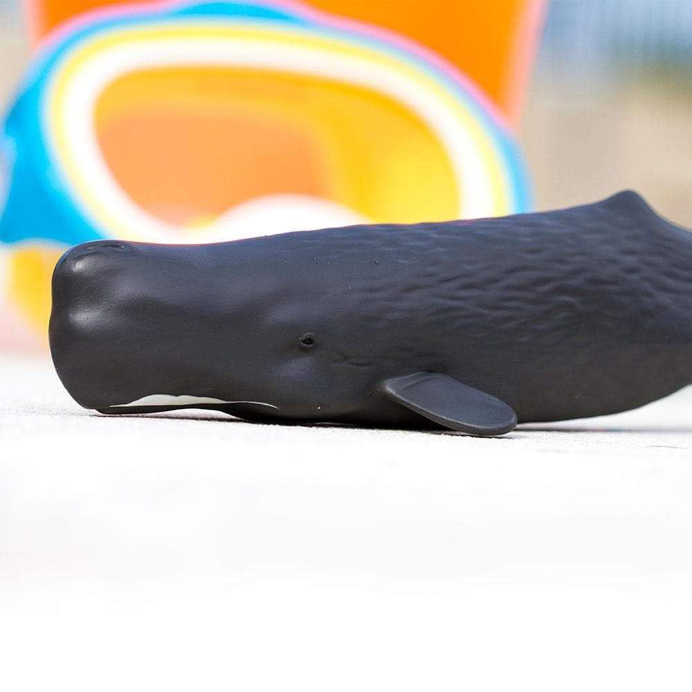 Safari Ltd. Sperm Whale Figurine - 9" Lifelike PVC Ocean Animal Toy for Kids - Multicoloured