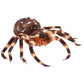 Rhode Island Novelty Usnyabni Itecfreely Adventure Planet Plush - Spiders (Set Of 2 Different - Blue & Brown) (8 Inch)