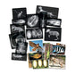 Roylco R5910 Animal X-Rays, 8 x 10, 28 Pieces