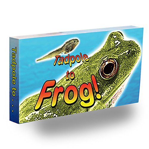 Fliptomania Tadpole to Frog Animation Flipbook