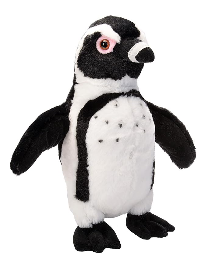 Wild Republic Black Footed Penguin Plush, Stuffed Animal, Plush Toy, Gifts For Kids, Cuddlekins 12 Inches