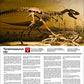 Smithsonian Diggin' Up Dinosaurs T-Rex Plastic Skeleton Set Educational,Fun,Science,Archeological Playset For Kids Age 8 Up