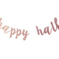 FestikoRose Gold Happy Half Banner, BabyS Half Year Old Birthday Party Decoration, 6 Months, 1/2 Birthday Sign