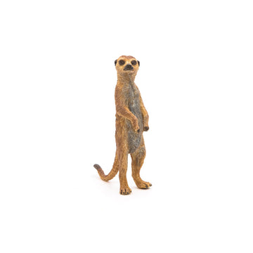 Papo -Hand-Painted - Figurine -Wild Animal Kingdom - Standing Meerkat -50206 -Collectible - For Children - Suitable For Boys And Girls- From 3 Years Old