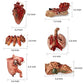 Halloween Blood Props Fake Scary Severed Hand Broken Body Parts For Haunted House Halloween Vampire Zombie Party Decorations Supplies (6Pcs Body Parts)