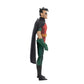 DC Direct Batman The Animated Series 6 Inch Action Figure Wave 1 - Robin