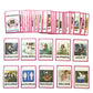Daily Routines Gestures English Flash Cards Baby Card Learning Toys For Children Pocket Card Pre-Kindergarten Kids Gifts