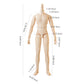 Ymy23 25 Male Doll Body Compatible With Ob22 Ob24 Gsc Bjd Doll Head Diy Drawing Mannequin Action Figure Models(Normal White-22Cm