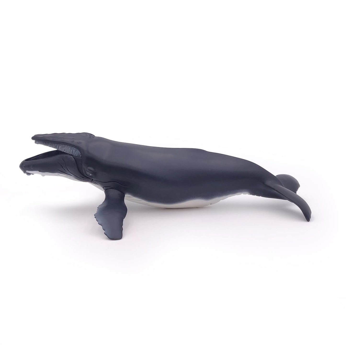 Papo - Hand-Painted - Figurine - Marine Life - Humpback Whale Figure-56001 - Collectible - For Children - Suitable For Boys And Girls - From 3 Years Old
