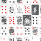 Bicycle Black Dragon Silver Foil Premium Playing Cards, 1 Deck