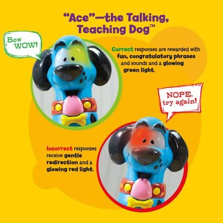 Merlin The Magical Dog Pen