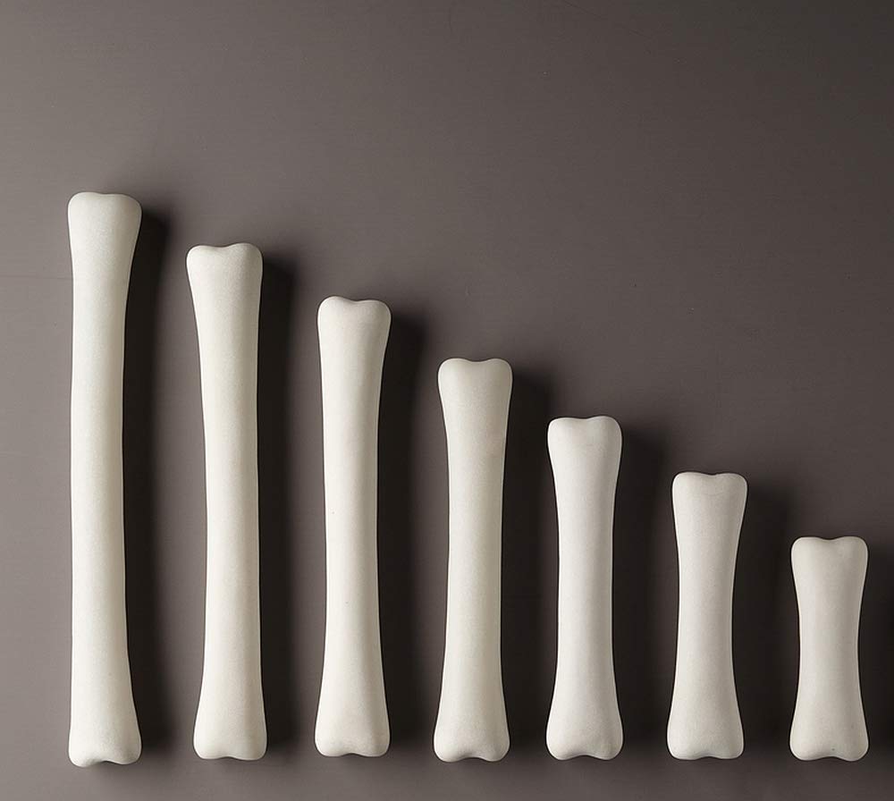Dinosaur Bones Match & Measure Set