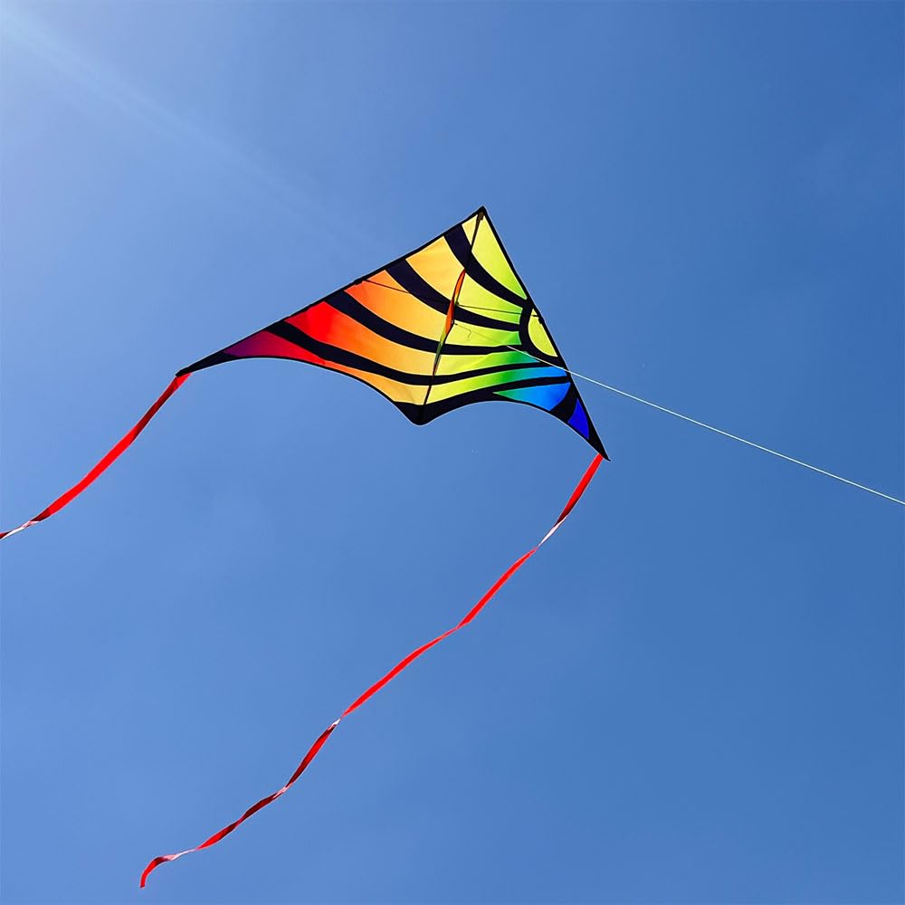 Xida Kite Large Delta Kites For Beginners & Adults, Wonderful Beginner Kite Suitable For All Ages,Easy Flyer Single Line Kite. B
