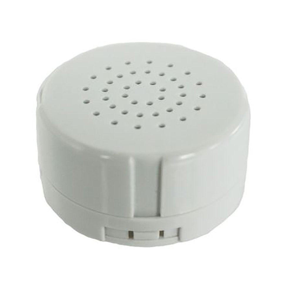 Record Your Own Plush 8 Inch Cheetah - Ready 2 Love In A Few Easy Steps