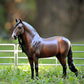 Breyer Traditional Series Dominante Xxix | Horse Toy Model | 1:9 Scale | Model #1809 Brown, Black, White