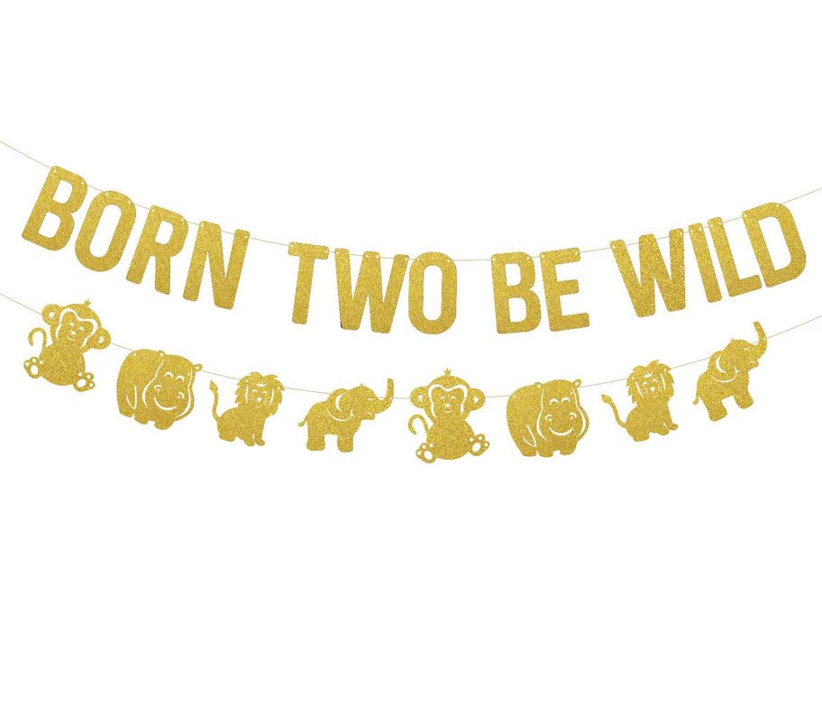 Svm Craft Born Two Be Wild Banner Two Wild Banner (2 Pieces) Two Wild Birthday Decoration