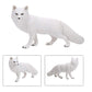 Uandme Fox Toy Figures Set Includes Arctic Fox & Red Foxes Figurines Cake Toppers (7 Foxes)