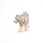 Papo -Hand-Painted - Figurine -Wild Animal Kingdom - White Tiger -50045 -Collectible - For Children - Suitable For Boys And Girls- From 3 Years Old
