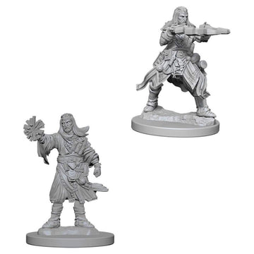 Pathfinder Deep Cuts Unpainted Miniatures: Wave 6: Human Male Wizard