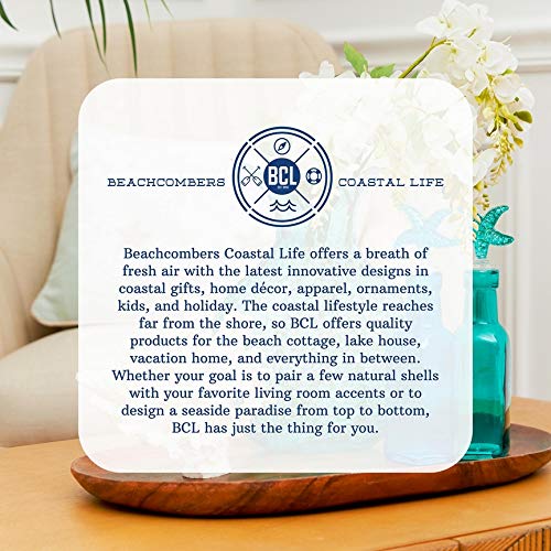 Beachcombers Pirate Boat In Bottle With Base Blue