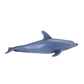 Mojo Bottle Nose Dolphin Realistic International Wildlife Hand Painted Toy Figurine