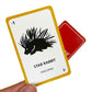 University Games | Danger Noodle Family Card Game, For 2 To 8 Players Ages 12 And Up