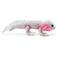 Folkmanis Axolotl For 36 Months To 999 Months, White, Pink