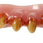 Billy-Bob Top Set Of Creepy Werewolf Teeth With Fangs
