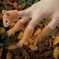 Roniavl Animal Squirrel Finger Puppet Funny Toys, Puppet Show Theater Props, Sridiculous Weird Gag Gift Soft Odourless
