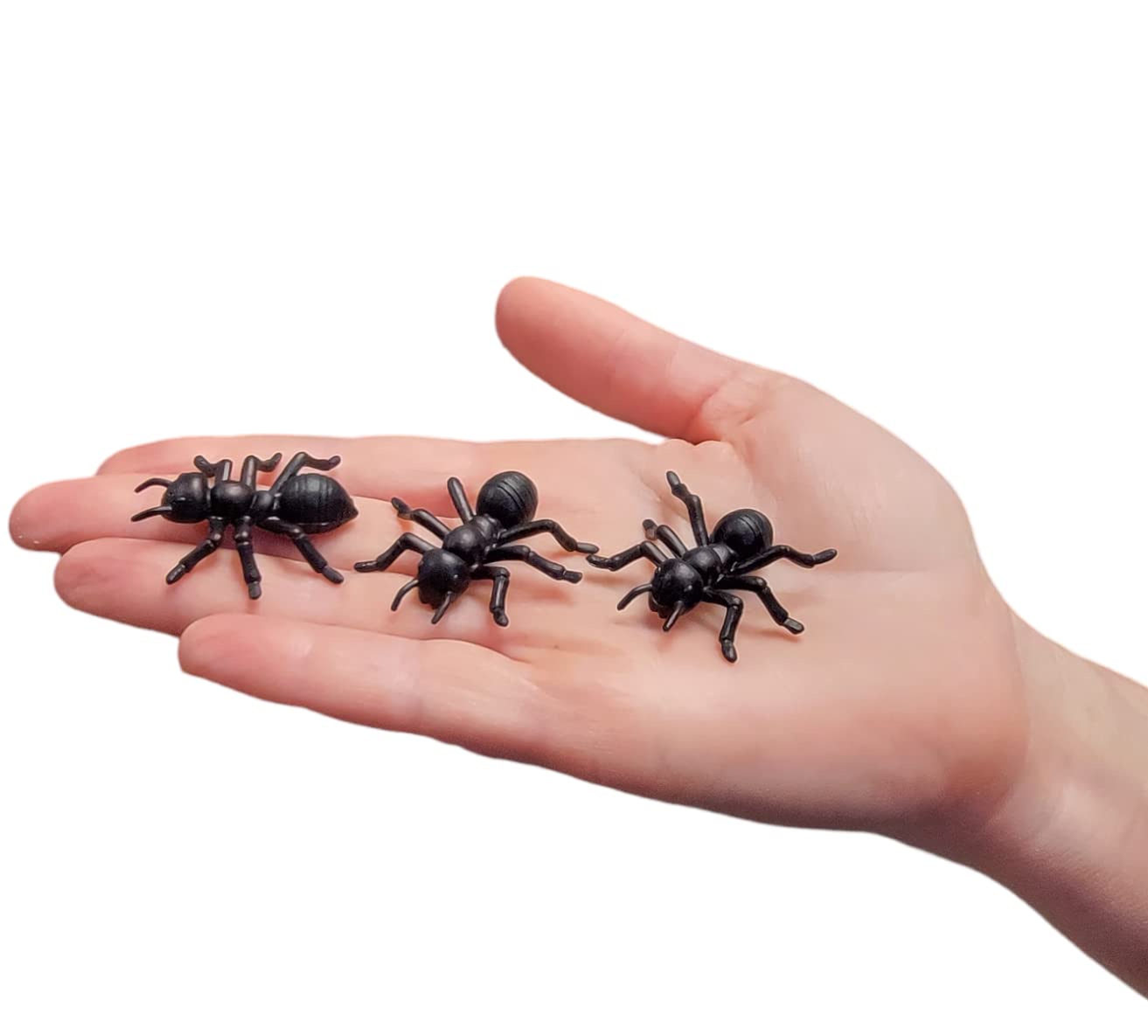 Large 1.5'' Black Carpenter Ant Toys (144 Pack) Plastic. Realistic Looking Ants. Prank, Props, Cake, Cupcake Decor And More! (14