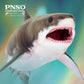 Pnso Prehistoric Animal Models (54Aidan The Cretoxyrhina)