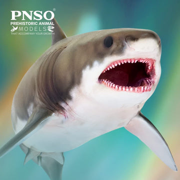 Pnso Prehistoric Animal Models (54Aidan The Cretoxyrhina)