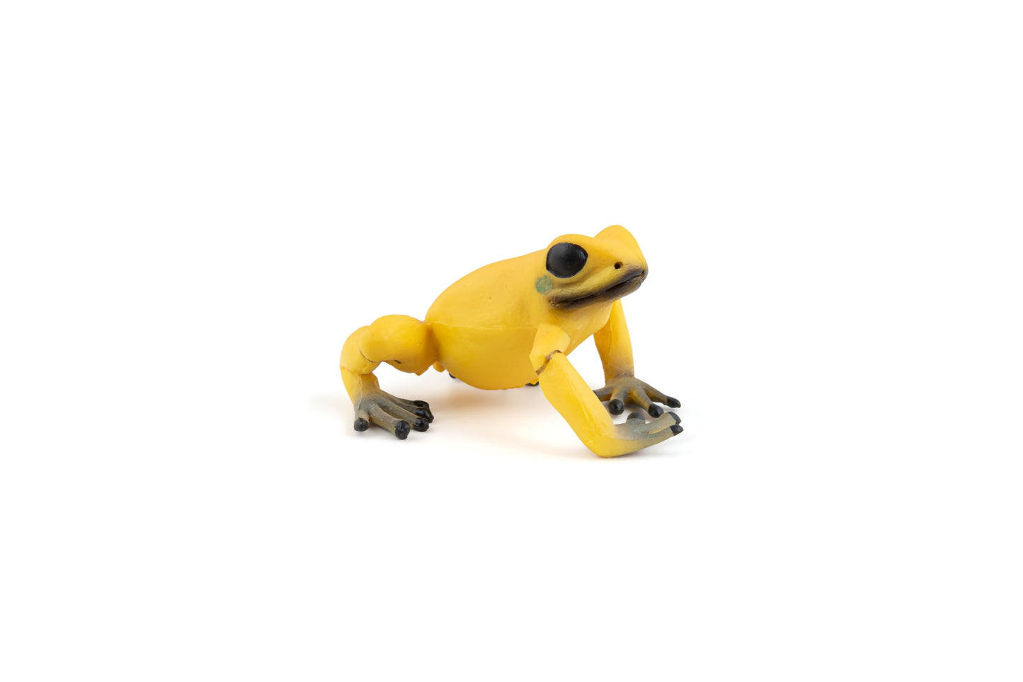 Papo Equatorial Yellow Frog Figure, Multicolor, Plastic, Model 50174
