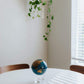 Mova Globe Blue And Gold 6''