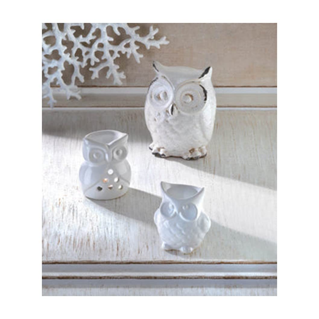 Distressed White Owl Figurine 4.62X4.75X6.5'