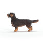 Schleich Farm World New 2024 Farm Animal Toy Wire Haired Dachshund Dog Toy Figurine